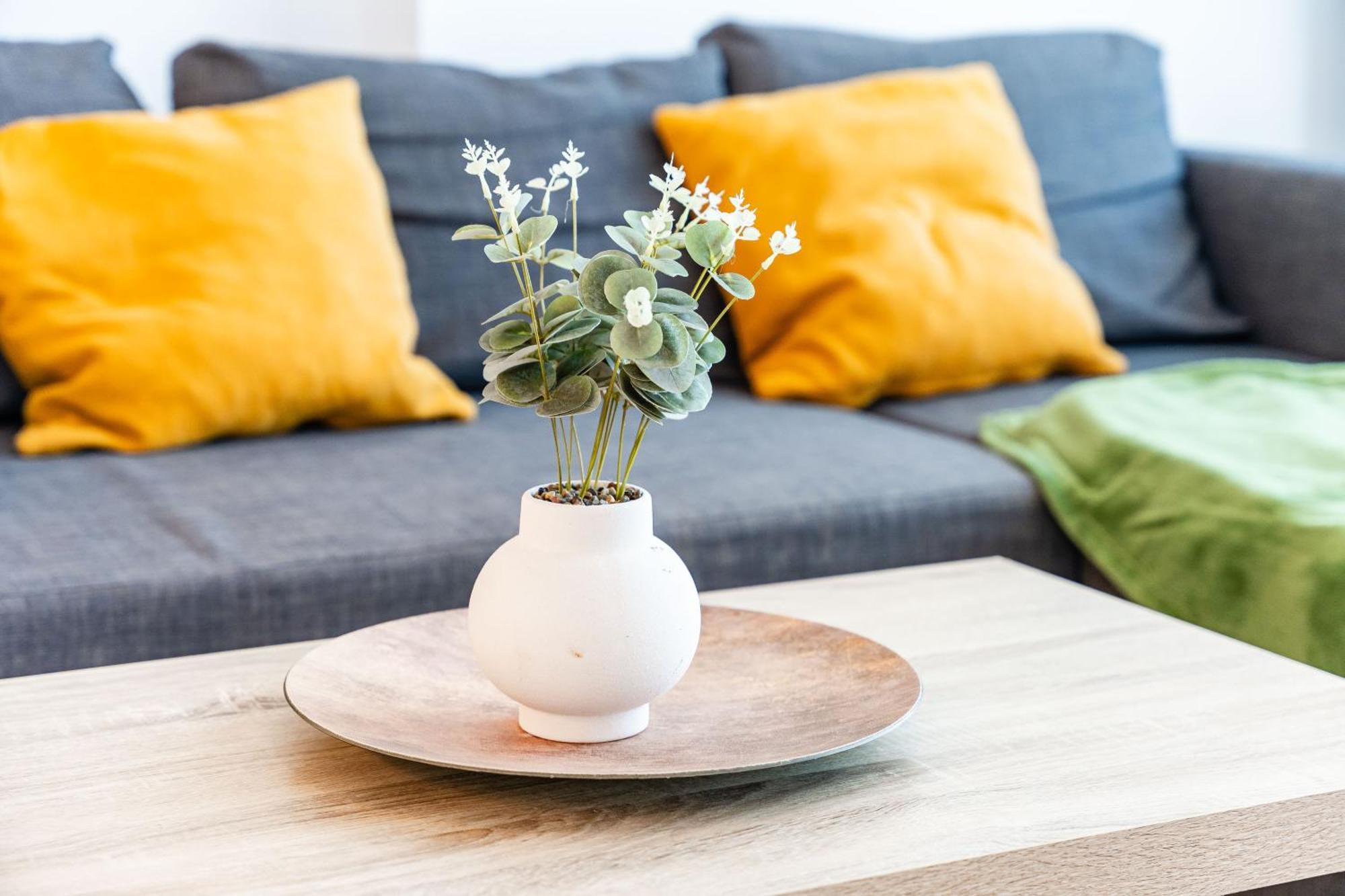 Modern Apollus Avenue - By Openhouse Apartments Timisoara Ngoại thất bức ảnh